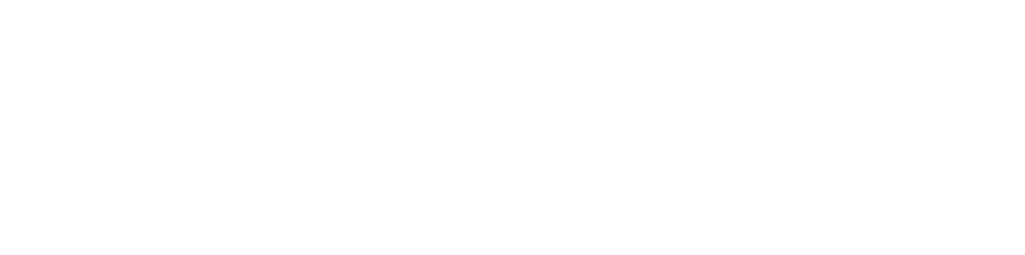 Opensystems_Logo_RGB_White 2